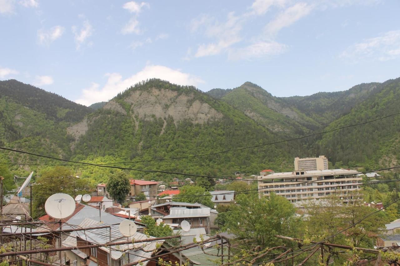 Гостевой дом Anastasia Guesthouse Боржоми-20