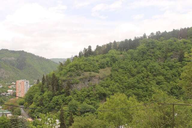 Гостевой дом Anastasia Guesthouse Боржоми-18