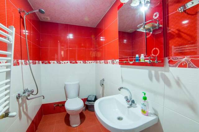 Гостевой дом Anastasia Guesthouse Боржоми-22